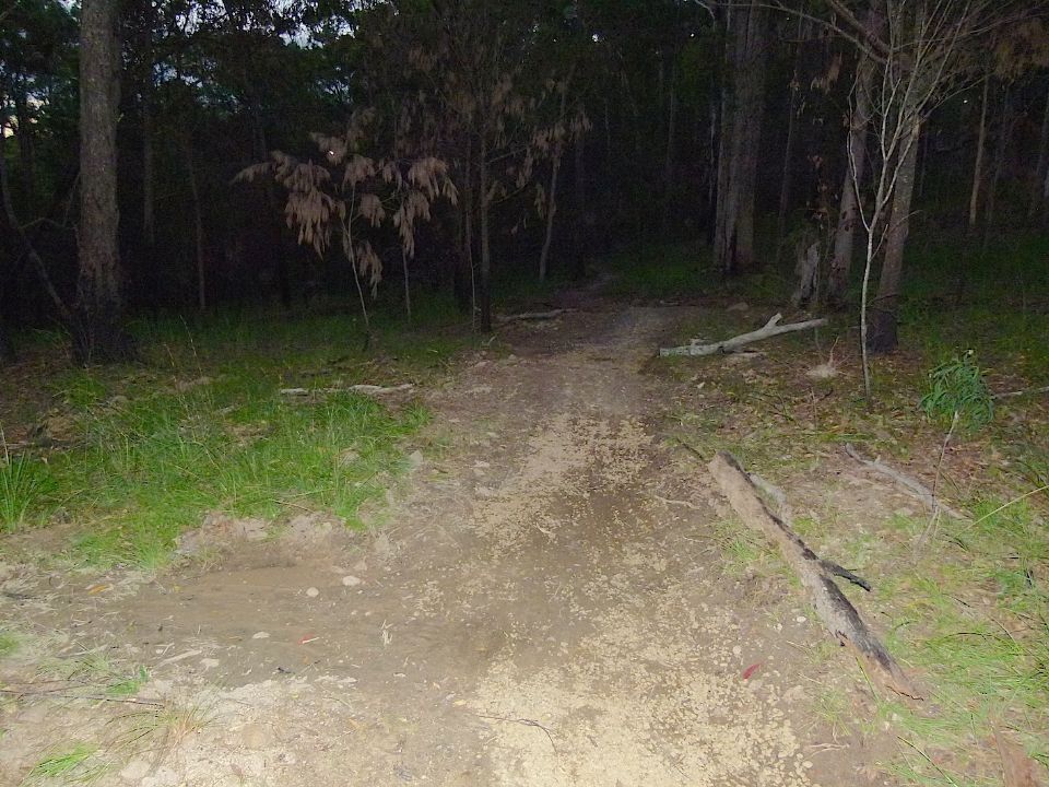 P1160378.jpg
